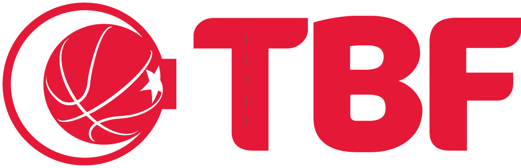 Turkey 0-Pres Alternate Logo v2 iron on transfers for T-shirts